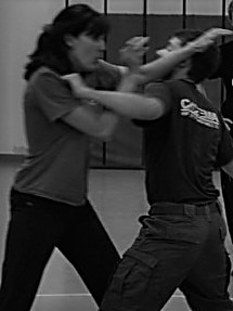 Systema Bern